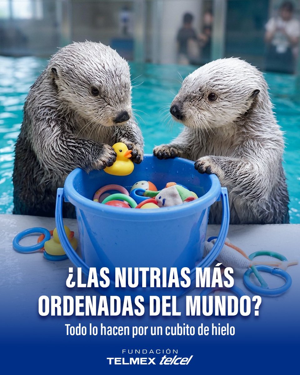 fundaciontelmex tweet picture
