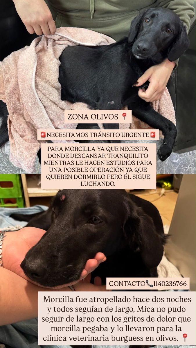 balcanizada's tweet photo. Denme RT!! https://t.co/Xe3wep8ArW