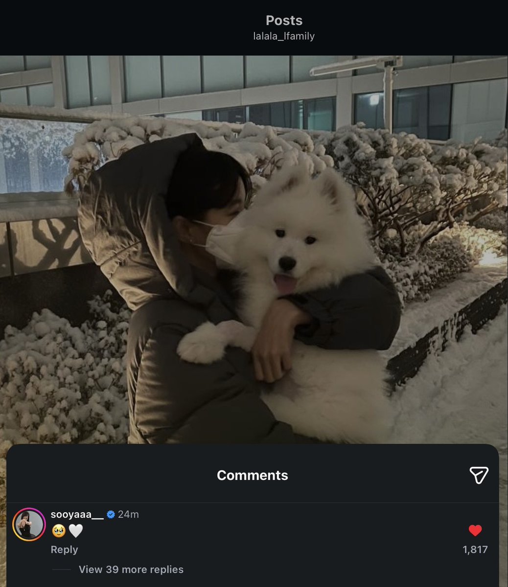 btf0327's tweet photo. JISOO left a comment on LAM’s debut post on lalala_lfamily:

“ 🥹🤍 ” https://t.co/0G3PkYJ46O