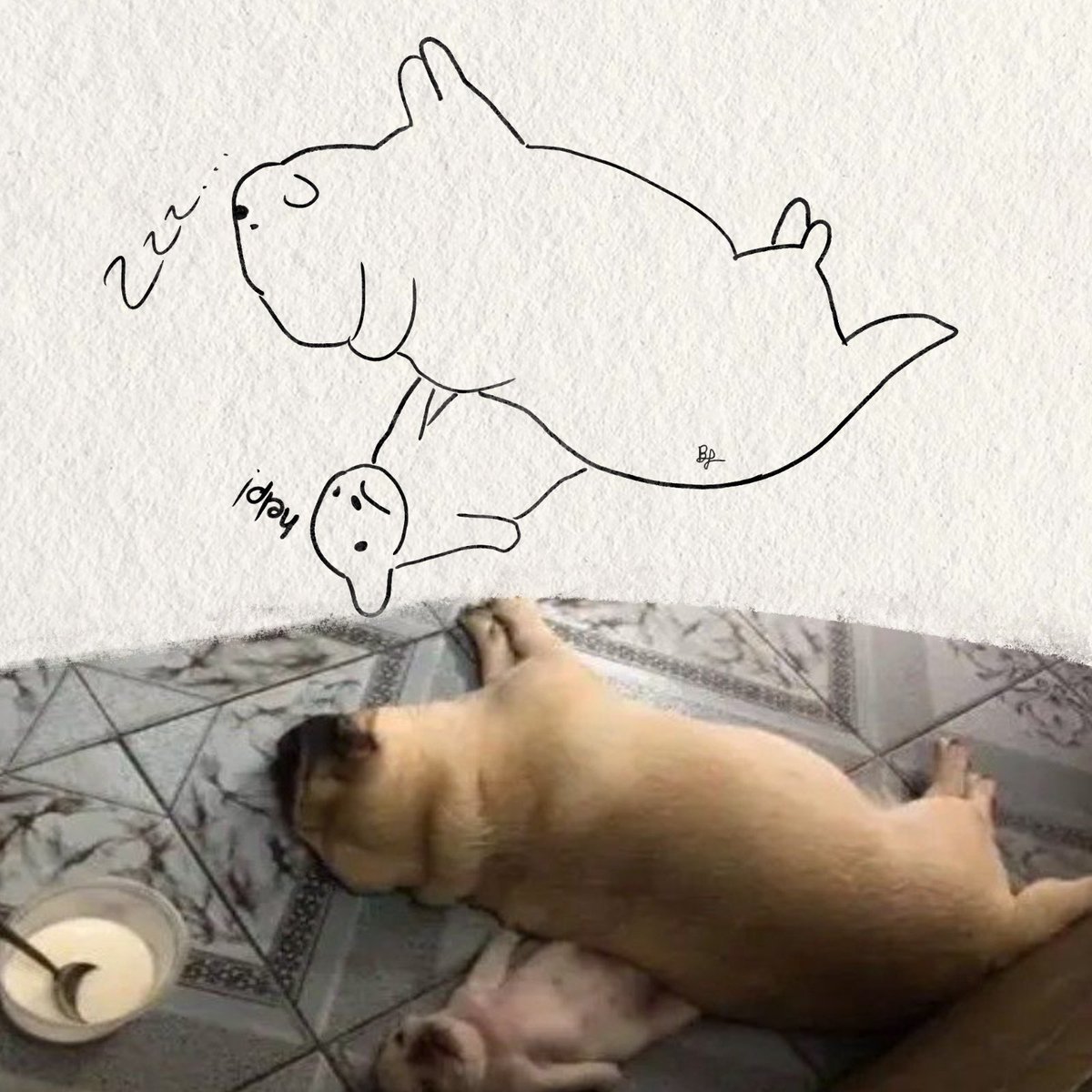 twaniimals's tweet photo. https://t.co/6sqtohXKzf