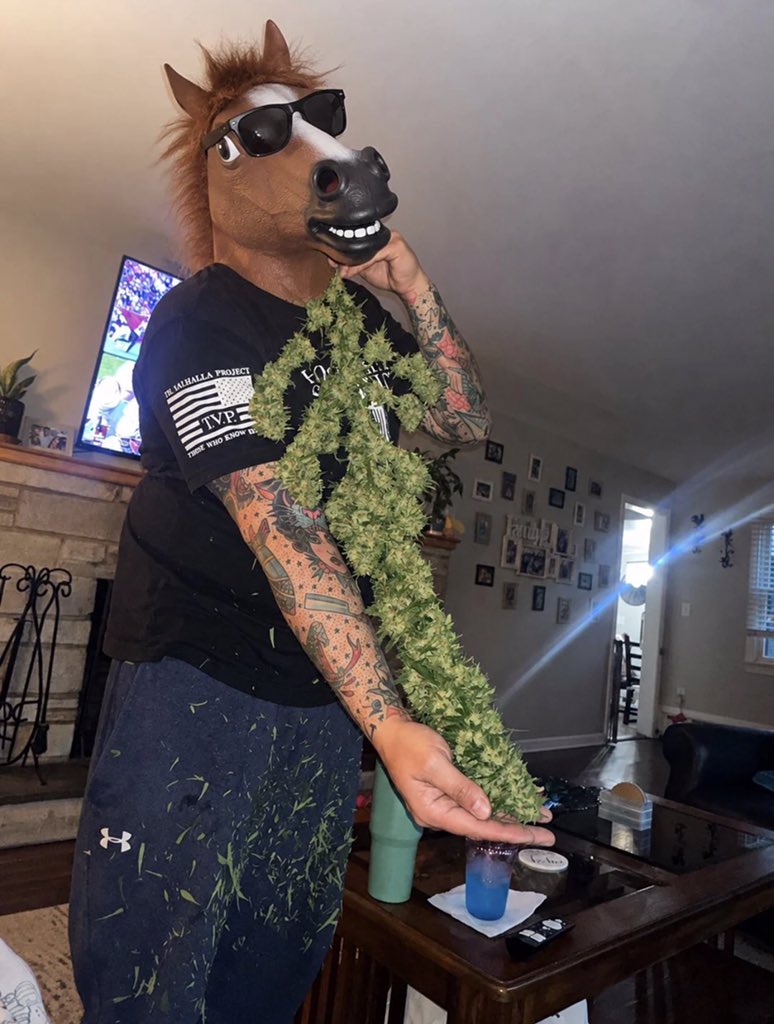 lord42_0's tweet photo. Harvest Day

Green crack. Little wet trim before hanging. 

https://t.co/95Kvz0GzA6 https://t.co/L4VDnvIubi