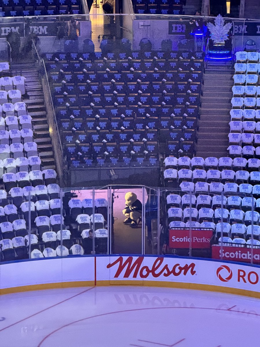 CarltonTheBear's tweet photo. Locking in for Home Opener 🔒 https://t.co/DrDt7DFwuU