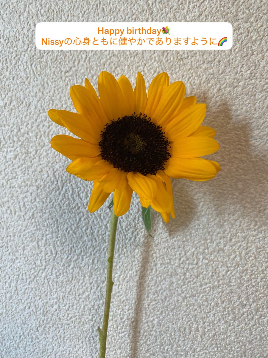 EjjX5t's tweet photo. #Nissyに想いを込めて差し出す一輪のお花
#Nissy40thbirthday_1輪ずつを花束に💐
#西島隆弘誕生祭🪄
#Nissy0930🎩
#Nissy40thBirthday💋
#NES💫
#NESnbco.🌟
#Nissy
@NissyStaff
#NEB
Nissyは唯一無二の私の推しです😊
あなたの笑顔は最高です✨
いつまでも笑顔が続きますように🪄 https://t.co/aM6QnVWxQB
