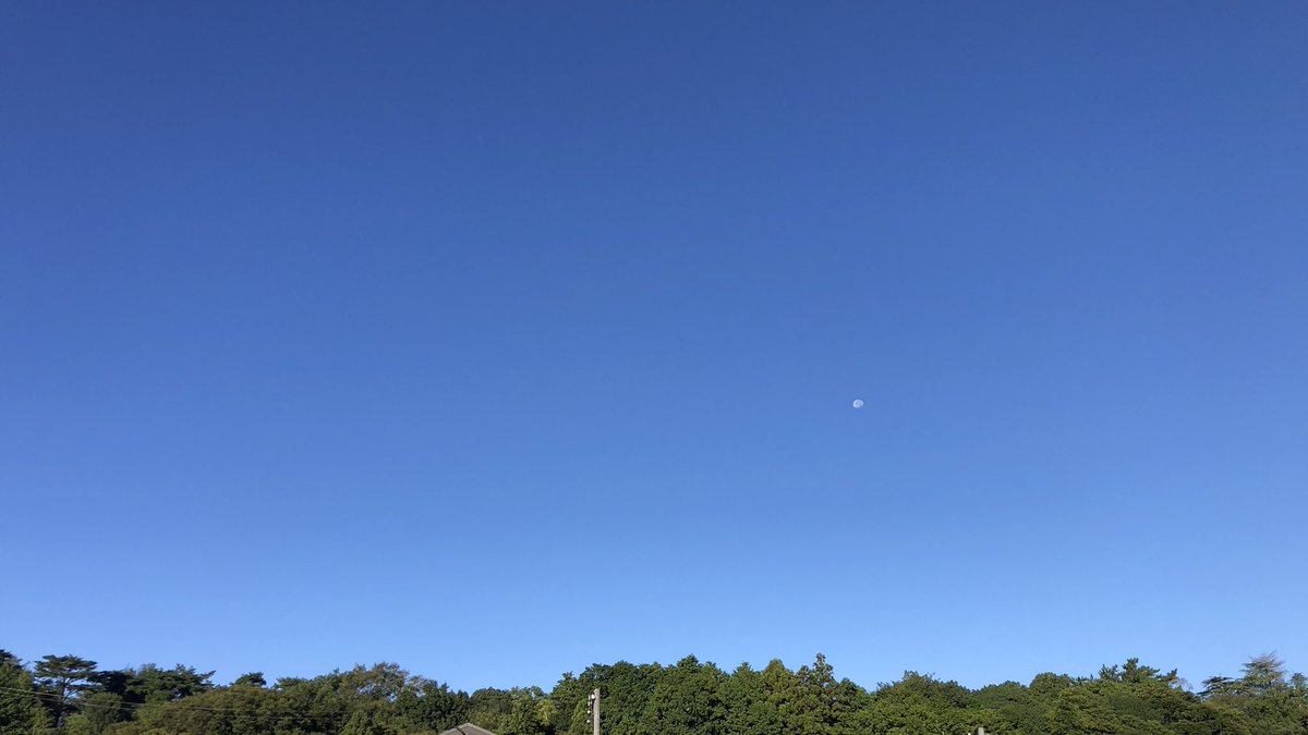 hata_mori's tweet photo. 今日の朝空　晴れ☀️🌕
#イマソラ #アサソラ #月 https://t.co/VCXmpGBtzS