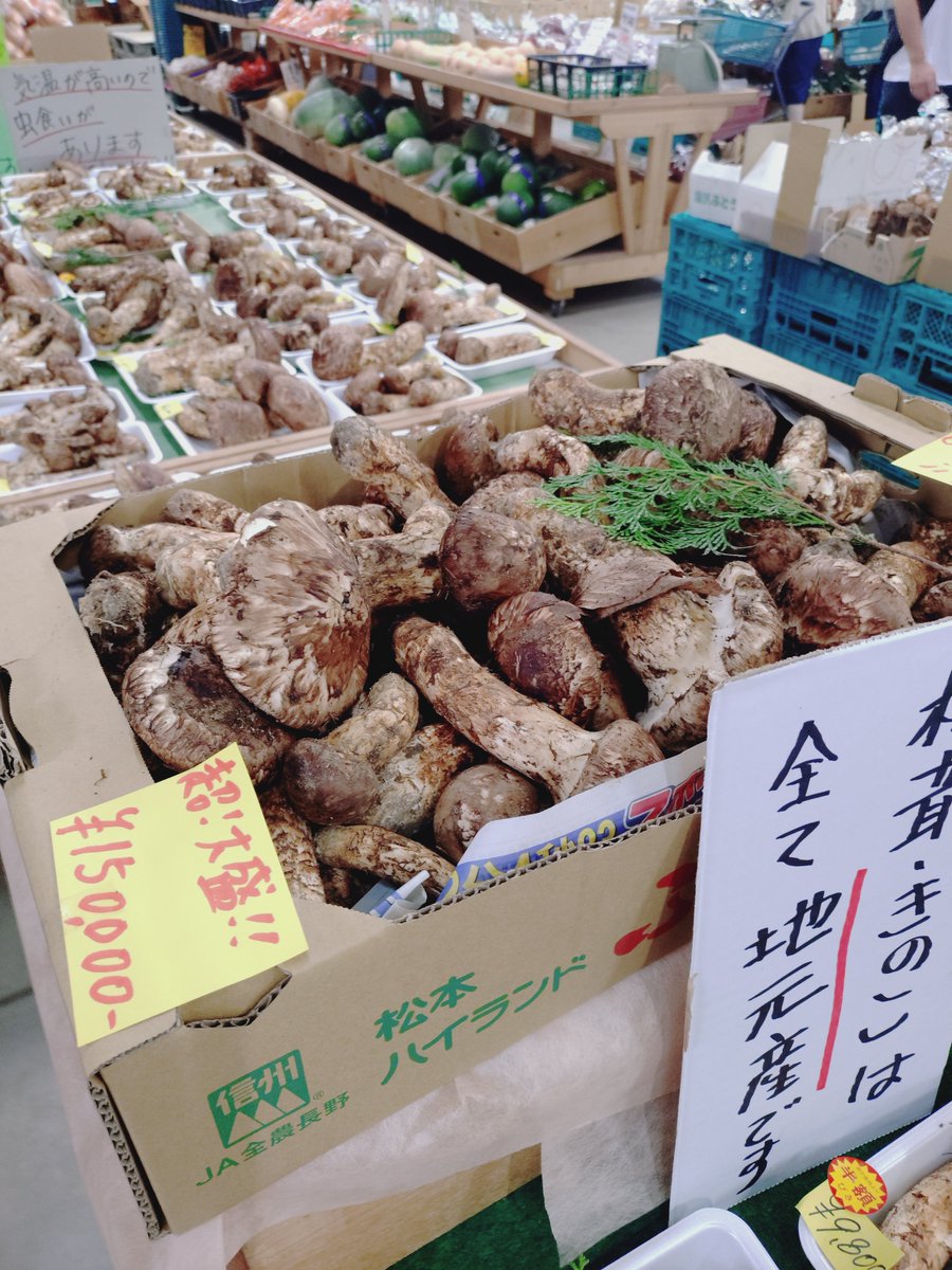 mrschild3's tweet photo. 昨日長野の
グリーンファームに　初めて行った。
もちろんお目当ては
松茸
孫娘が
「松茸ってどんなの？
どんな味？食べてみたい」
と昨年から言ってて、買ってきて松茸ご飯にして娘2人のうちに配って、それぞれの家に2本あげました。
安すぎてびっくり！
普通の5本大きいの2本で6000円！採れたて！ https://t.co/4OTCakHvtV