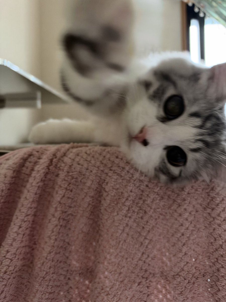 Belyusha tweet picture
