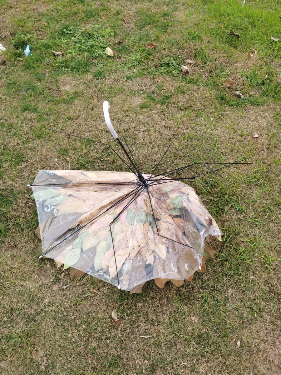 nrNs5EDuTXBqJt8's tweet photo. I had to cancel my outdoor hiking plan due to sudden rain, and the equipment I prepared was just gathering dust.（注：这里用英文巧妙对应了“诹（斟酌计划）、悼（惋惜取消行程）、砍（搁置准备）”的逻辑，同时避开生僻字，兼顾英文表达自然性）， https://t.co/5KUFmMjvPB