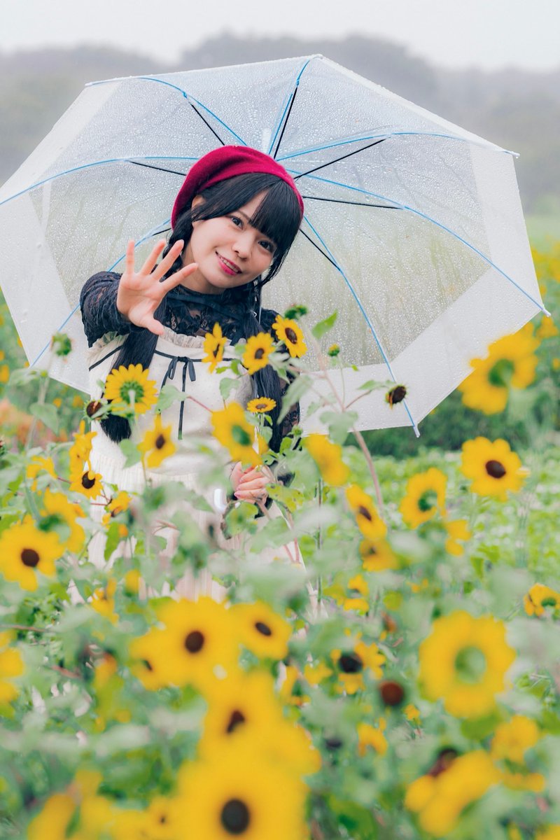 aki68595055's tweet photo. おはよう🐰
ミニヒマワリあった🌻

みんな大好きいつも可愛い姫織さん🐰

model 白石姫織 さん(@shiraishihiori) 

#白石姫織
#ポートレート https://t.co/8Gg4RcDsva
