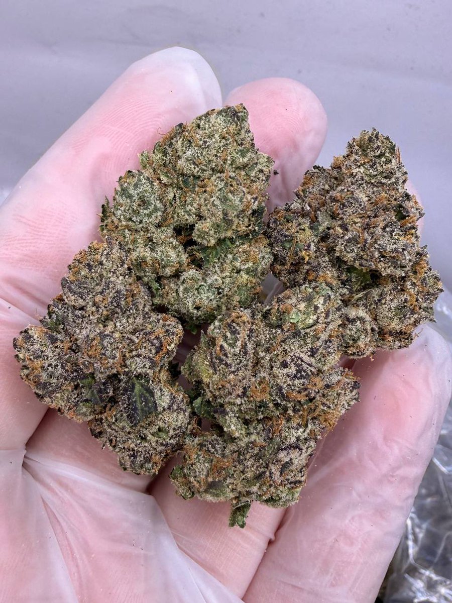 theplughtown's tweet photo. Houston📍 PLUG
Lil durk
7/50 14/90 Zip/150
2Zip/250
100 DOLLAR ZIP SPECIALS🔥
#houston #houstontexas #htx #htxplug
#houstonplug #weed #htxweed #katyTx
#Superbowl #tourism #baytowntx #houstontx #downtown #springbreak #NewYears #htown #gta https://t.co/3mWGLWZO2D