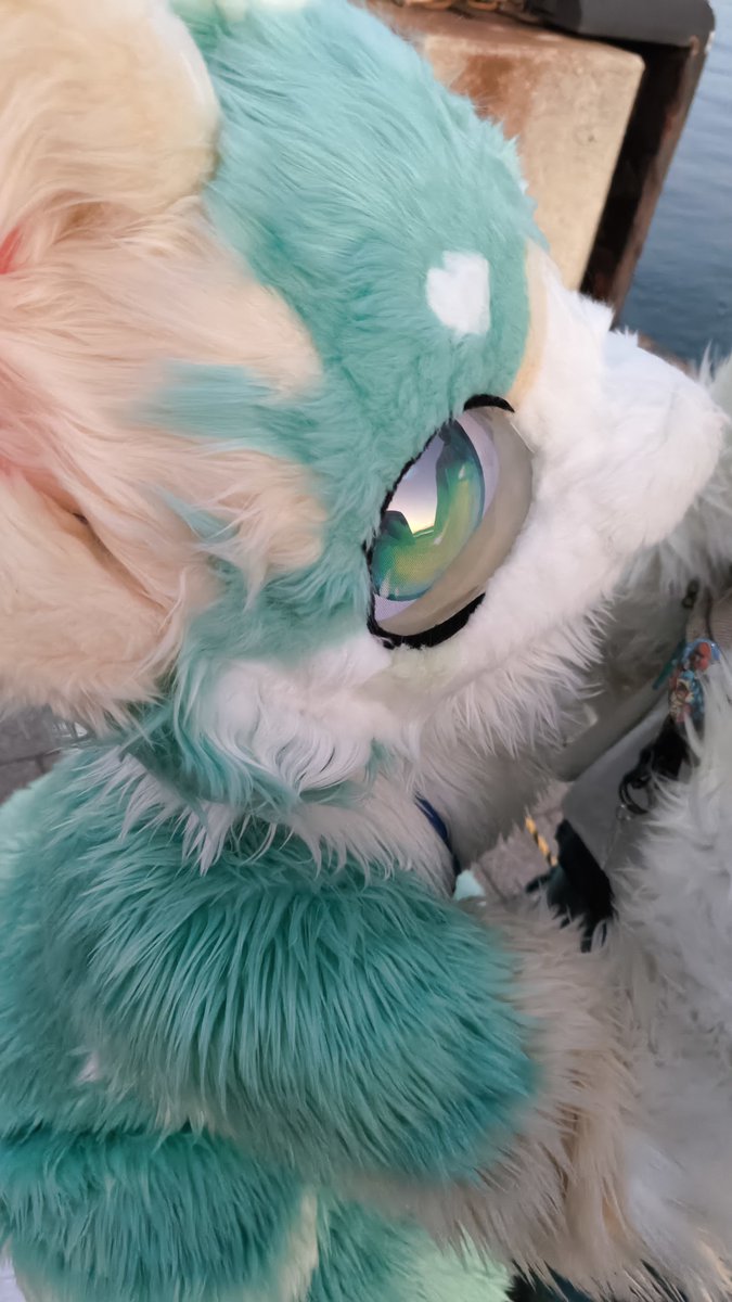 neos_moff's tweet photo. #FursuitEveryday 
#けもがしま5 
ボクの耳の模様はアイスクリームが溶けてるみたいなんだよ🍨

📷@a3131316 https://t.co/umekNWZirc