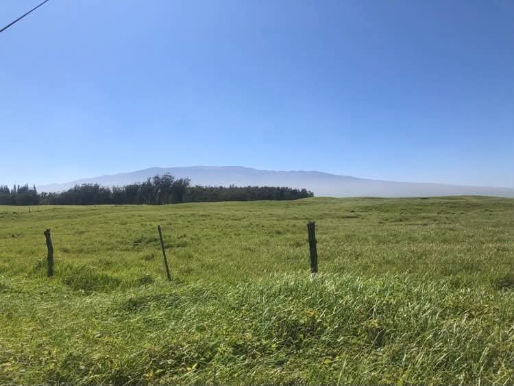 joe_ironman's tweet photo. Polu, Kala, and Scruffy insisting that they are still puppies and kittens on a Thirsty Thursday on the Ranch...
#hawaii #bigisland
#xoskinusa
#hawaiiultra #teamfireball
Noxgear lighted vests for you and your pets! https://t.co/gMUYlIrtug https://t.co/aixTOw0zNM
