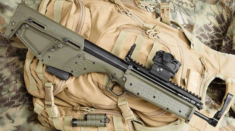 yukscot72259647's tweet photo. [Guns with short magazines, quick reloads, and wild raccoons make for a fun outdoor moment] https://t.co/827pu01WVq