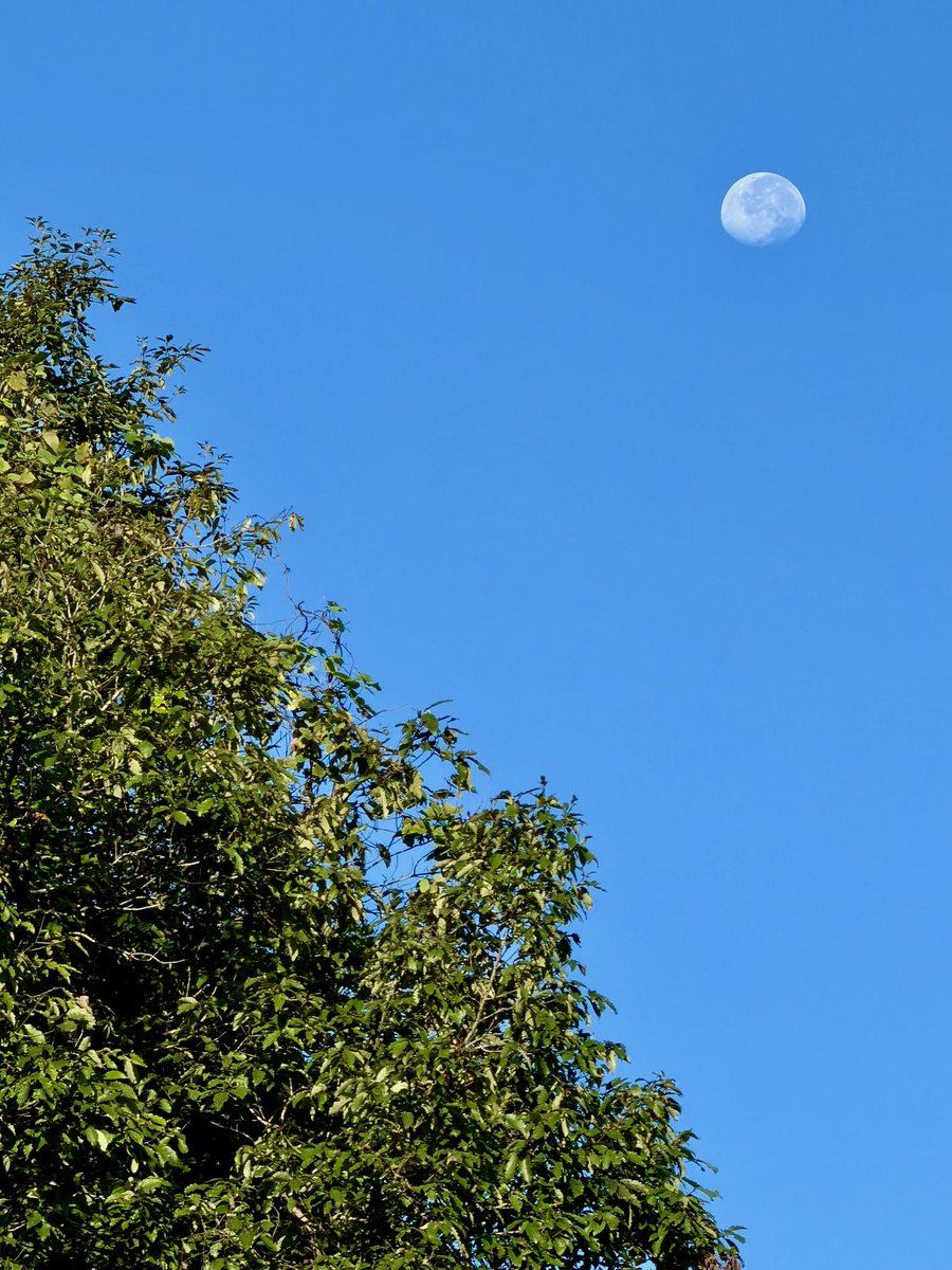 happiness320702's tweet photo. #夜明け　#ブルーモーメント　#青空

令和8年9月30日（水曜日）
午前5時45分・・夜明け
午前7時07分・・青空

おはようございます😀
久し振りに清々しい朝です
やっとヤット秋らしくなりました〜🍂

　　✨今日も笑顔一杯元気一杯で
　　　　　　　　　過ごせますように✨ https://t.co/ssD3com2dI