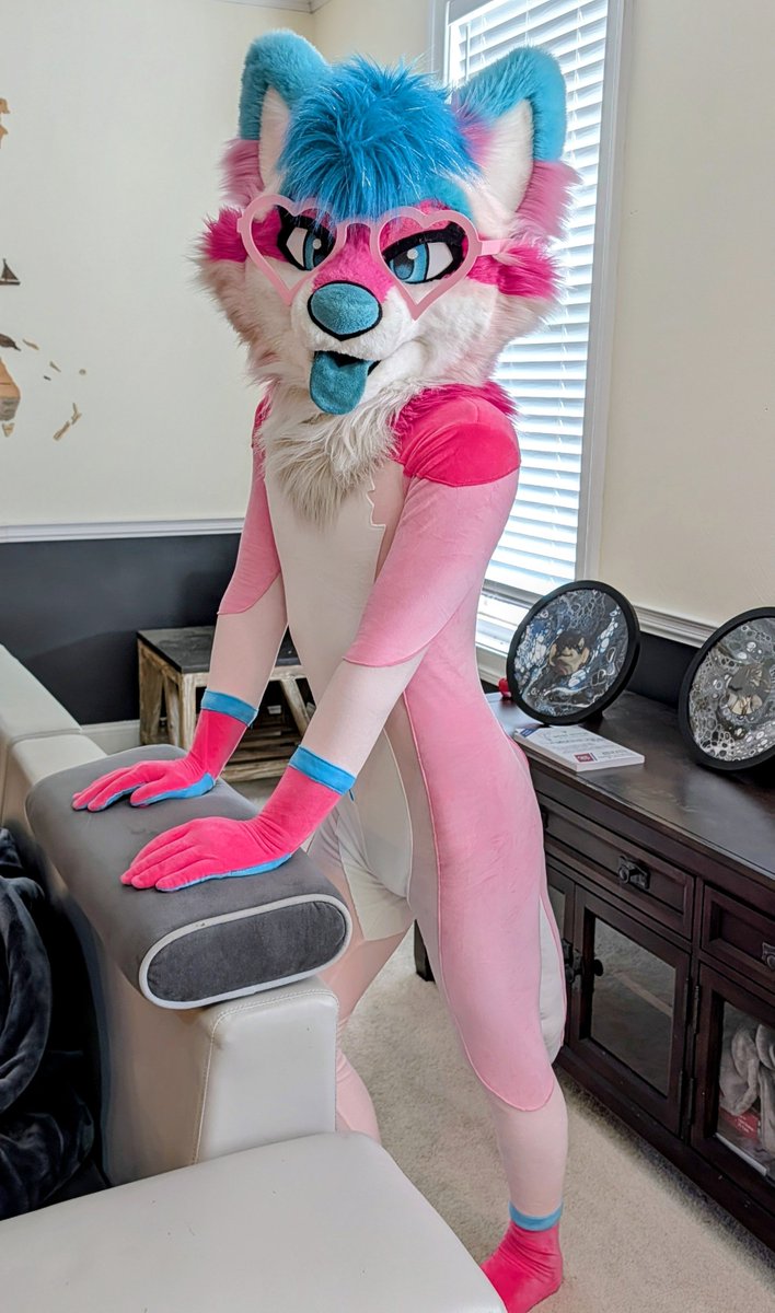 ShinzuFoxx's tweet photo. Theres a new sleek and smooth pink fox in town~💖

🧵-@HuanMao_CN 
📷-@Labraderpy https://t.co/R62Ld7di4N