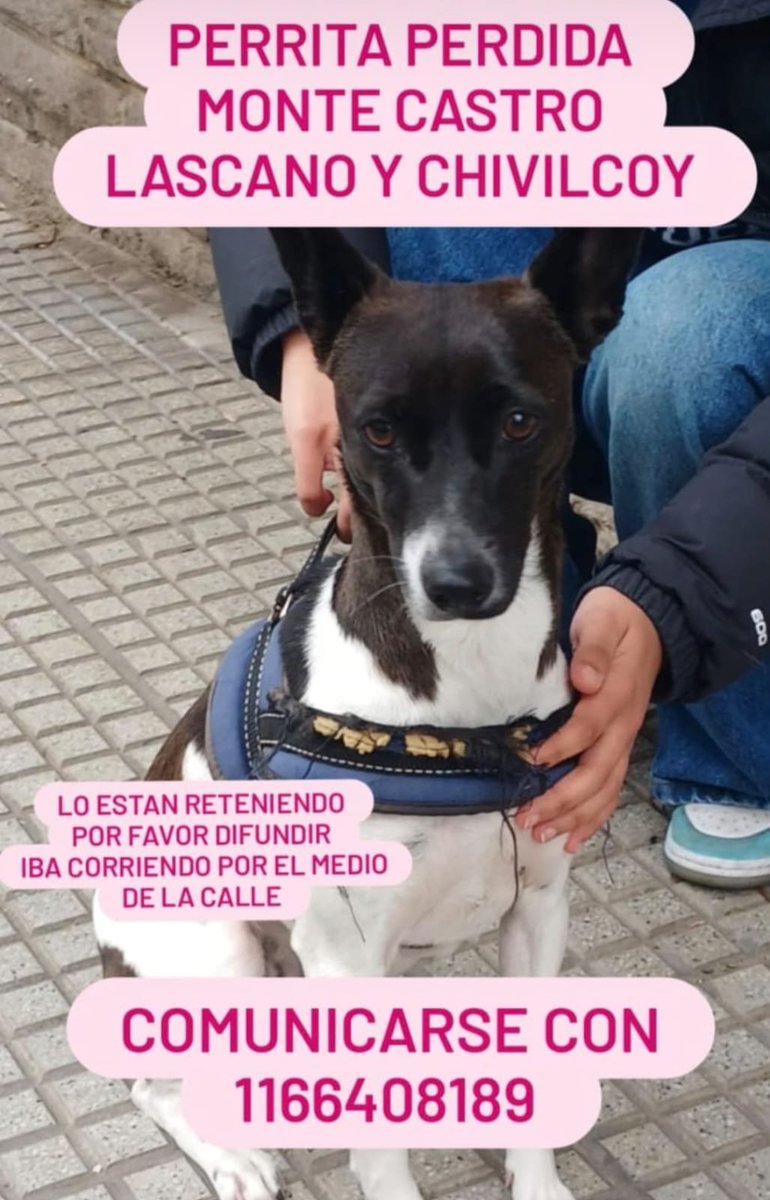 bohemia59's tweet photo. Atención!🚨🚨🚨 #MonteCastro, CABA👇👇👇 https://t.co/oC5DsUOKun