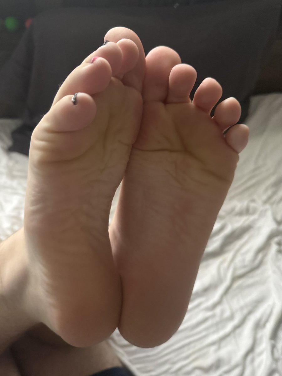 Baxter_Strawbun's tweet photo. Tell me they don’t look soft🤭 https://t.co/7nMjS44bzk