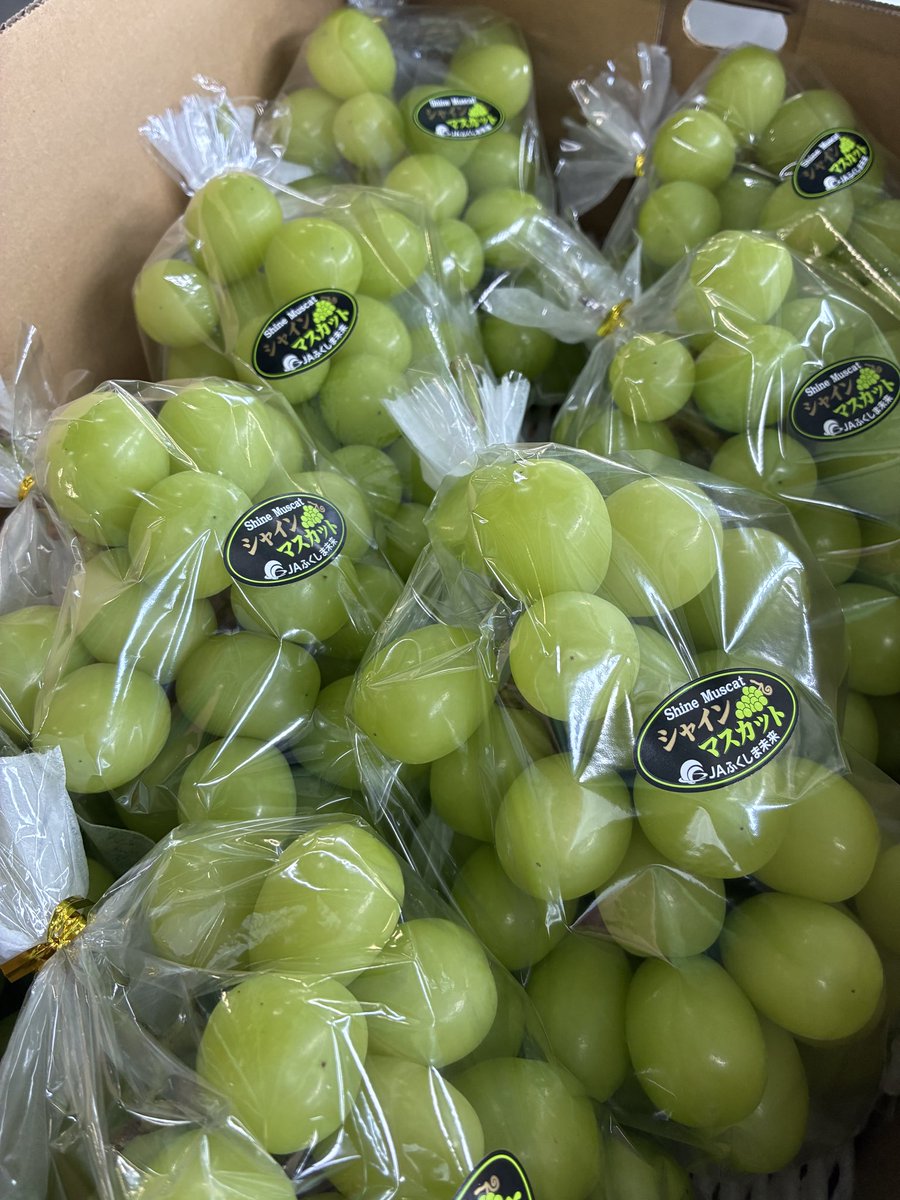 powerful_seino's tweet photo. 伊達市産のシャインマスカットの出荷が続いています💚

秋の気配となり味がのってきました💚

癒しの1粒いかがですか💚 https://t.co/th7plbTBUD