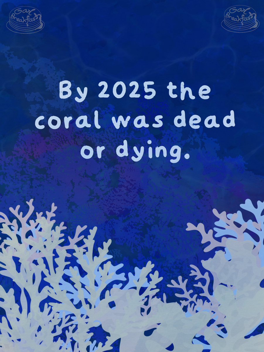 GayBreakfast's tweet photo. 🪸 In 2023 we snorkeled around the vibrant reefs of Tokashiki Island.

By 2025 the reef was dead.

🧵⬇️ https://t.co/1nJJamoHpz