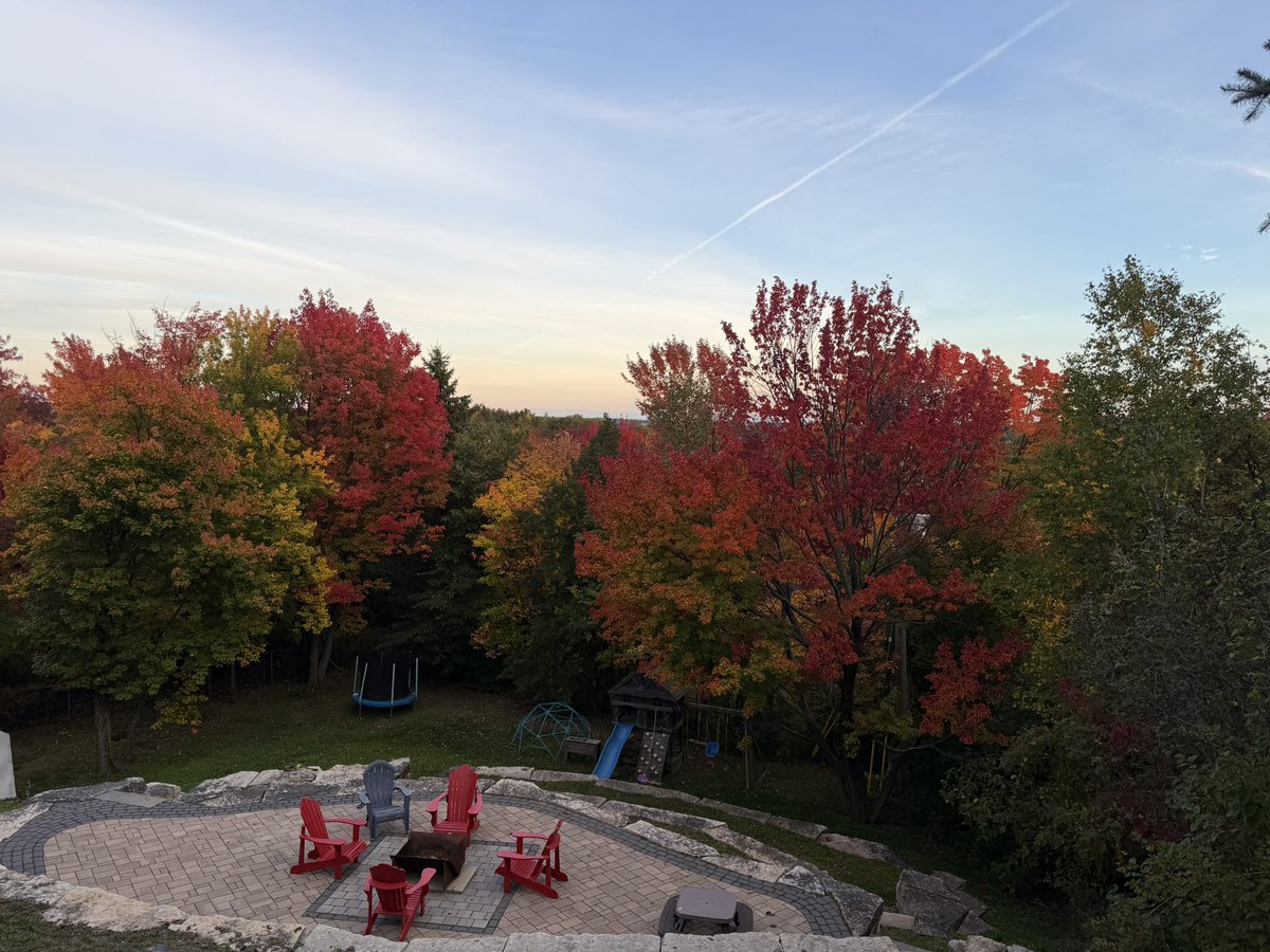 mikecommito's tweet photo. Fall is here https://t.co/qgZLKJXZd6