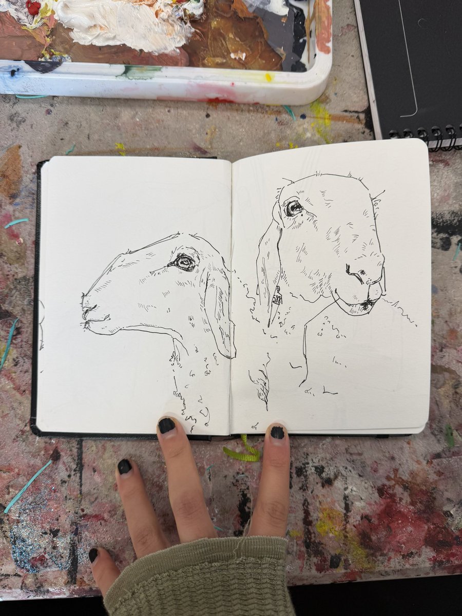 pusheenbakes's tweet photo. Some sheep art i have been busy with  today https://t.co/pGrkfmkcKC