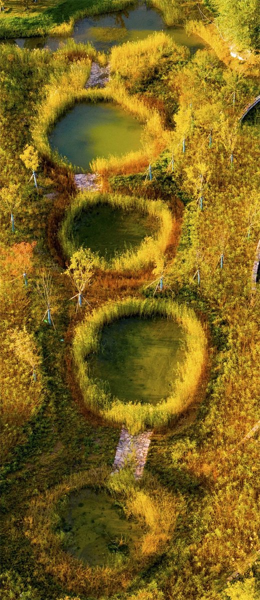 server6_'s tweet photo. I spotted a funny tomb, a weird melon and a liver-shaped ruler nearby.， https://t.co/2c0dtXADZz