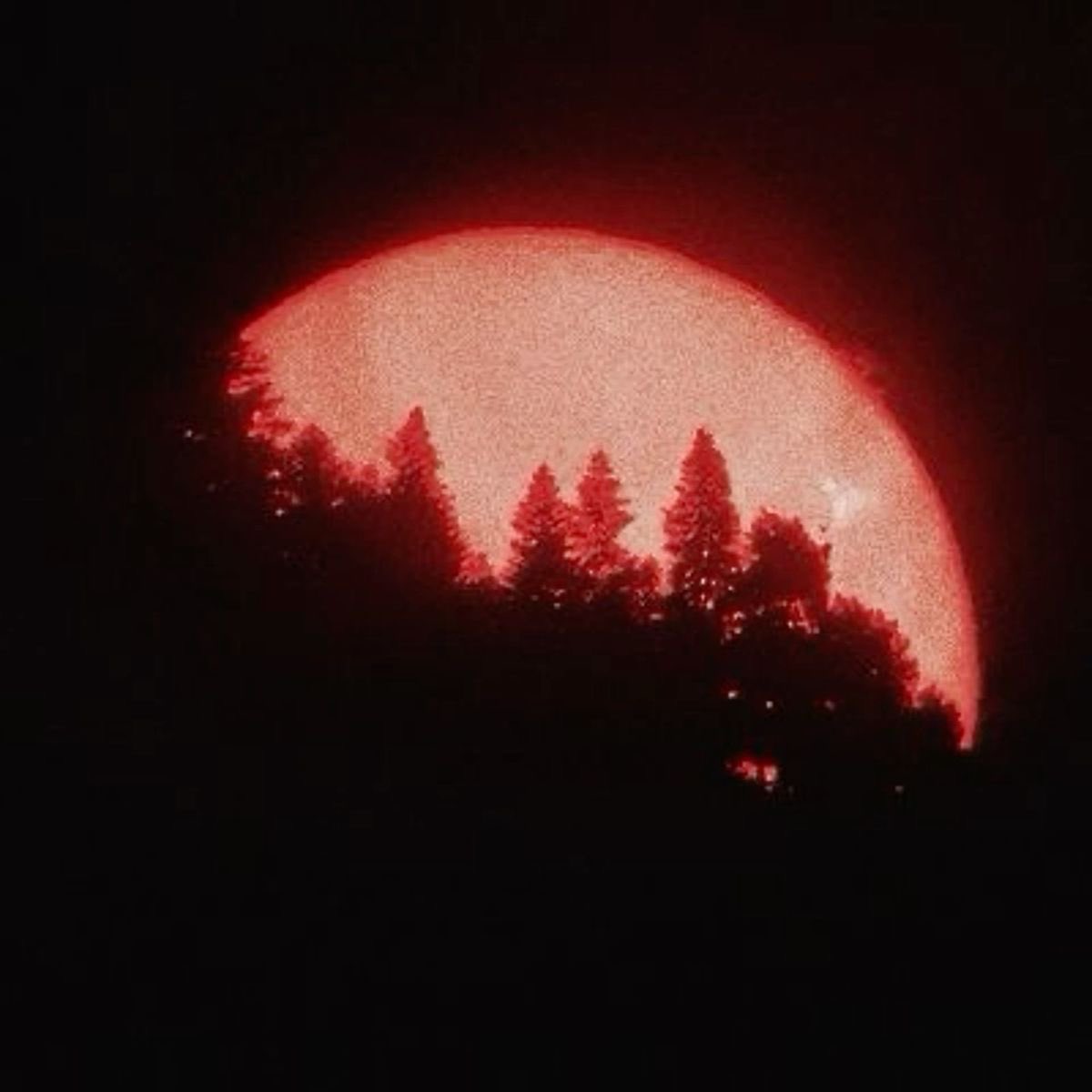 dreamingvessel's tweet photo. ⠀
𝖶𝖧𝖸 𝖣𝖮 𝖨 𝖥𝖤𝖤𝖫  
𝐋𝐈𝐊𝐄 𝐈 𝐖𝐀𝐒 𝐌𝐄𝐀𝐍𝐓. 
𝑻𝘖  𝘉𝘌  𝘈  𝘔𝘖𝘕𝘚𝘛𝘌𝘙  . https://t.co/rB6Z3hWvCy