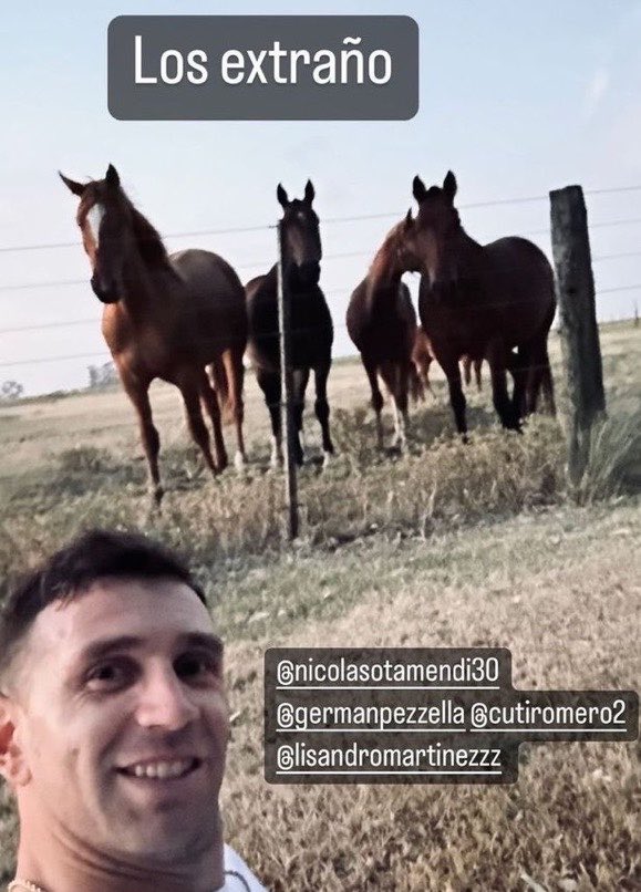 clubjulienzoo's tweet photo. emociona como evoluciono y ahora saca fotos en el momento para no extrañarlos cuando vea caballos https://t.co/sVfmEl2L7o