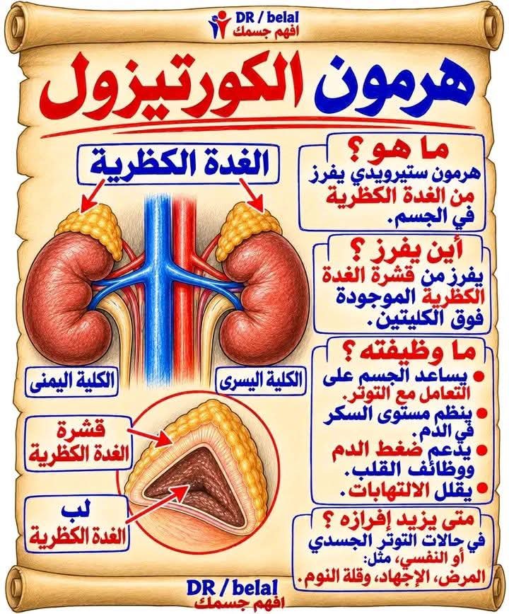 AliAli137278's tweet photo. افهم جسمك https://t.co/z9n7HlBrz7