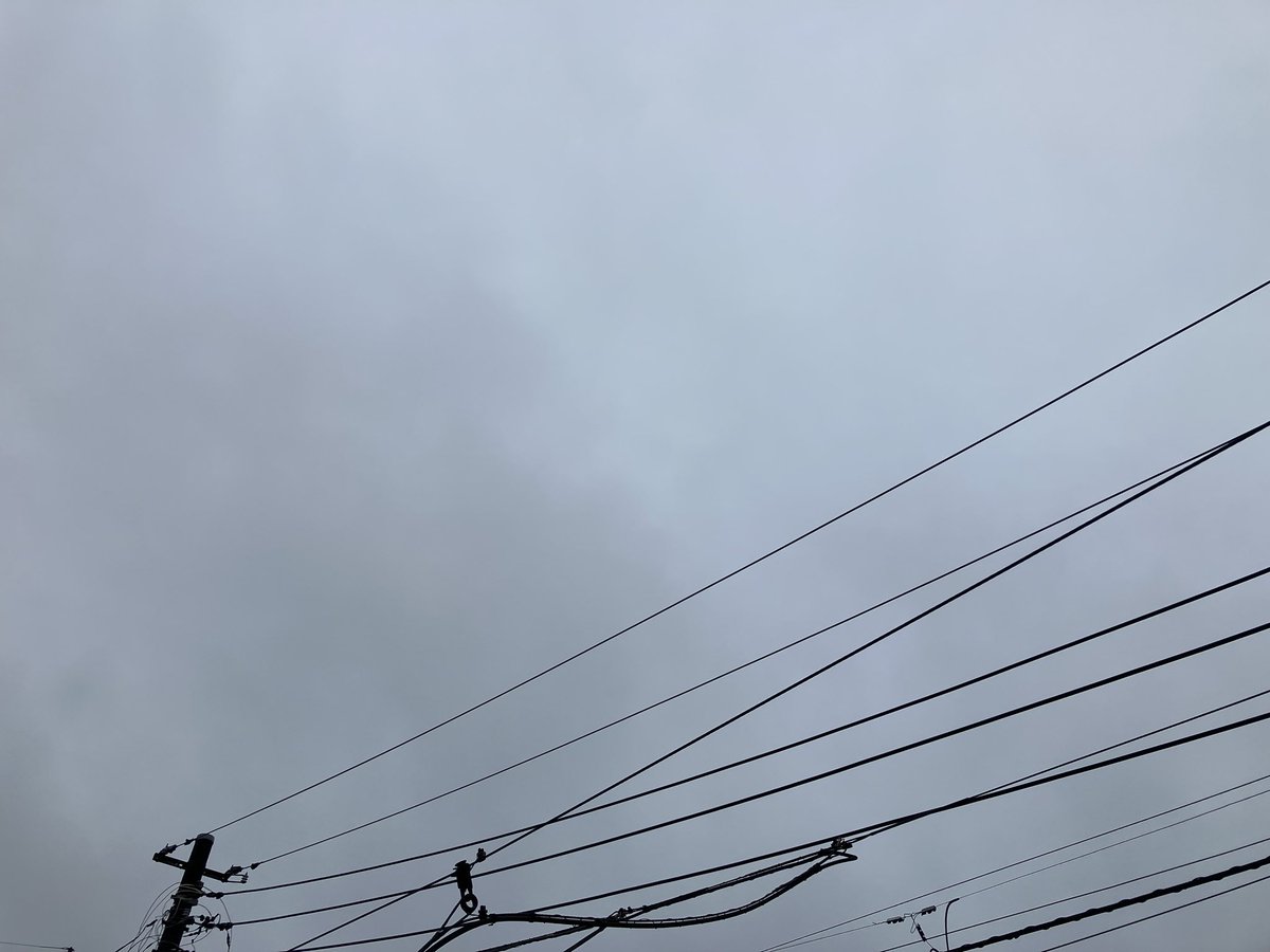 NavyBlue_Reika's tweet photo. おはようございます

9月も今日で終わりです。
レモンさん地方は今朝も雨の降る朝。金曜日頃からは晴れるとの予報ですがどうなるか。

今日もよろしくお願いします🙇‍♂️
#秘密結社老犬倶楽部天国支部 https://t.co/nuDgVD9ZhR