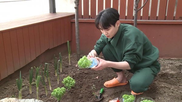 Special_Dendyo's tweet photo. 히 쏘 밭 밭 밭 밭 밭 https://t.co/lK273JsQYe