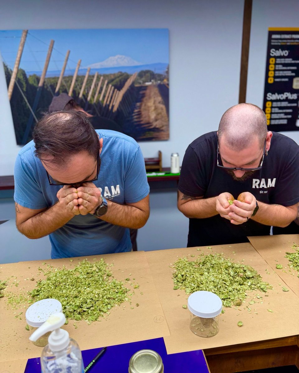 theRAM's tweet photo. A whole lot of sensory analysis went down in Yakima last week! 

Our brewers made the annual trip to hand-select the best hops of the harvest — all to bring you bigger, better &amp; fresher Ram beer.

Great beer starts with great hops. Cheers to what’s brewing🍻 https://t.co/q7LXfaIXY8