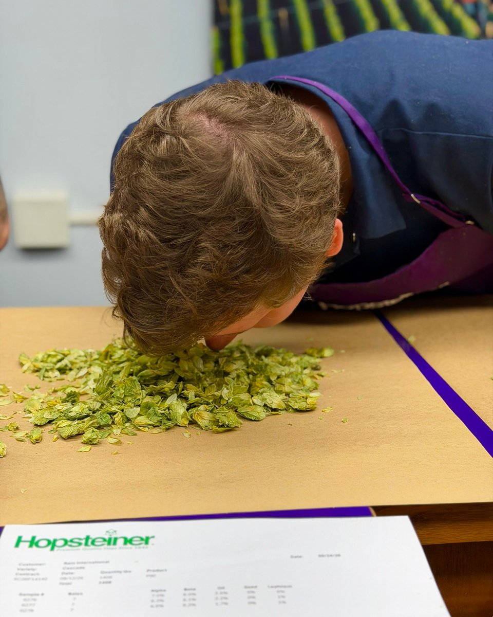 theRAM's tweet photo. A whole lot of sensory analysis went down in Yakima last week! 

Our brewers made the annual trip to hand-select the best hops of the harvest — all to bring you bigger, better &amp; fresher Ram beer.

Great beer starts with great hops. Cheers to what’s brewing🍻 https://t.co/q7LXfaIXY8
