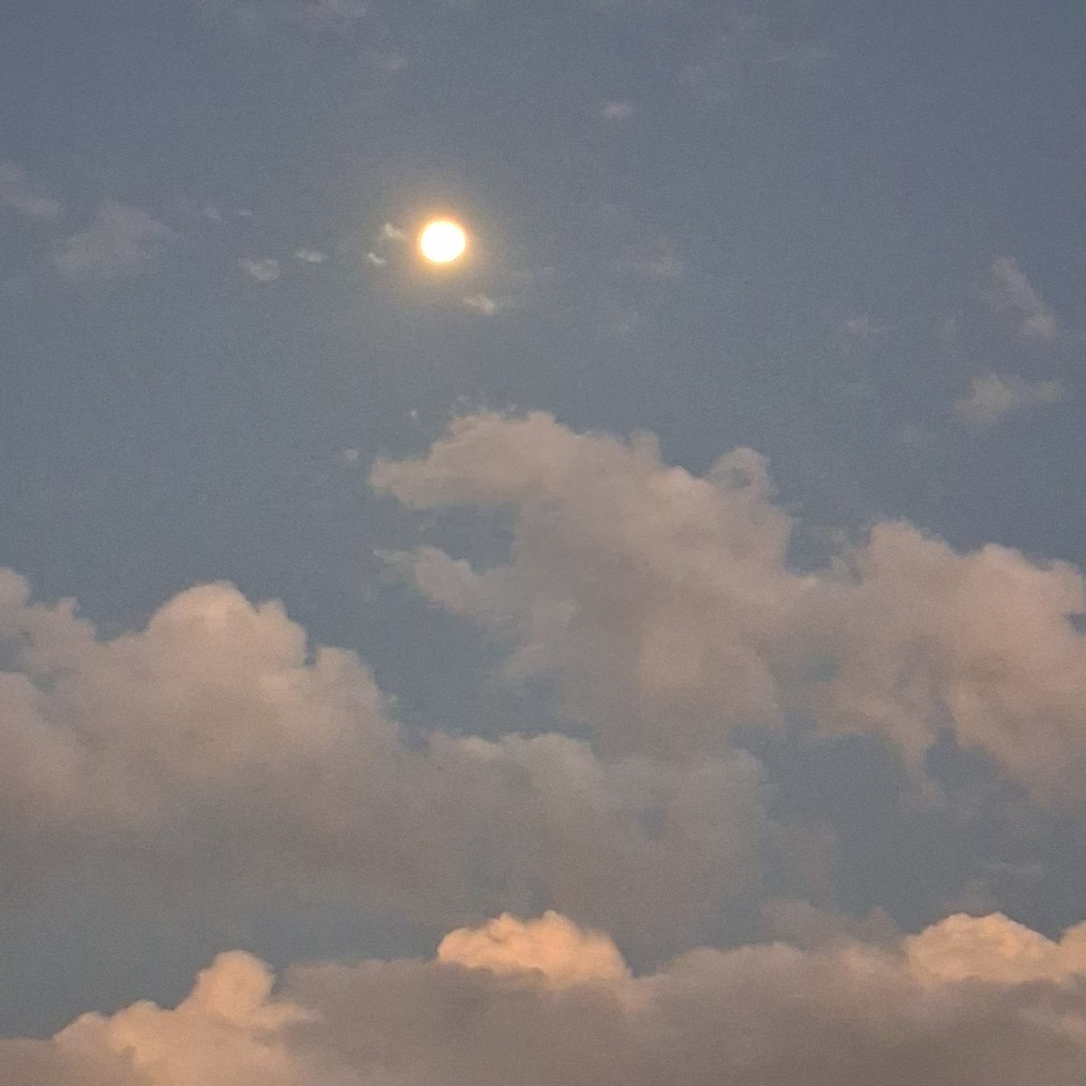 RussellCoxTX's tweet photo. God’s beautiful creations are too many to count.
The moon before the sunrise.
The eyes of a loved one.
Cool air after a long summer.

Many, Lord my God, are the wonders You have done.
Were I to speak and tell of them,
they would be too many to declare.
Psalm 40:5

Thank You Lord for this day.
Thank You Lord for this hour.
Thank You for every second You gave me to see it.

I pray You keep my eyes open to what You already made,
so I have more reasons to praise You.

Give glory to God.
You are a witness to the greatest story ever told.
His name is Jesus Christ.