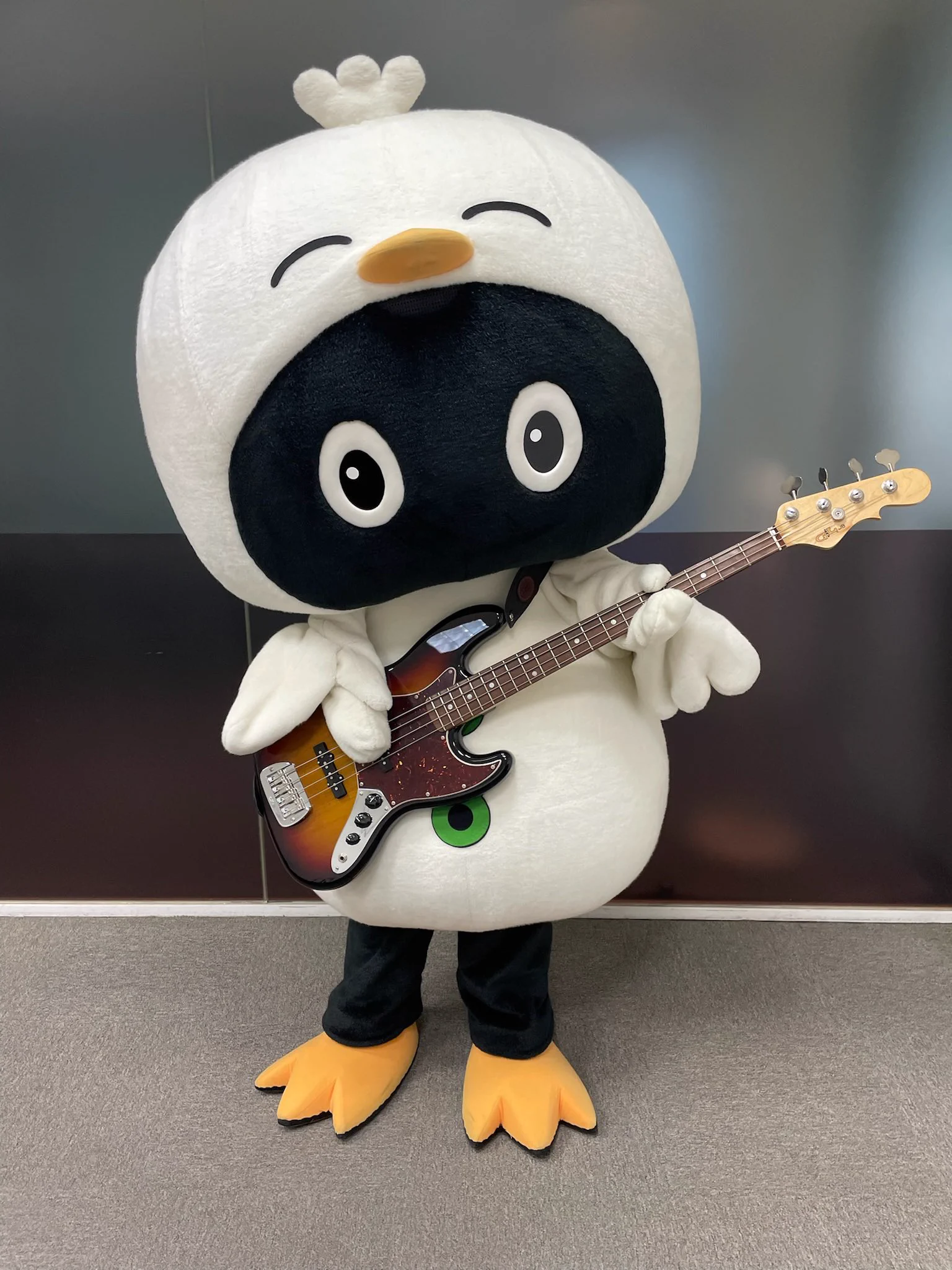 Hooちゃん🐤🎶【山野楽器公式キャラクター】 on X: 