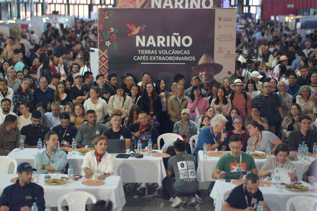 LuisAlfonsoEsc's tweet photo. La Mejor Taza 2026 demostró que valorizar el café de Nariño también permite generar oportunidades y dinamizar la economía. ☕️🌱

21.898 asistentes, $259 millones en ventas directas y más de $688 millones en negocios y subasta. Cerca de 500 lotes de 41 municipios y 177 marcas mostraron la calidad y el enorme potencial de la caficultura nariñense.

Detrás de estas cifras están las más de 41 mil familias cafeteras, sus emprendimientos y esfuerzos.

Con #LaMejorTaza2026 fortalecemos el agro, la economía popular y una cadena productiva que conecta a #Nariño con nuevos mercados. 💚

#NariñoSeSiente 
#UnCaféEnPaz