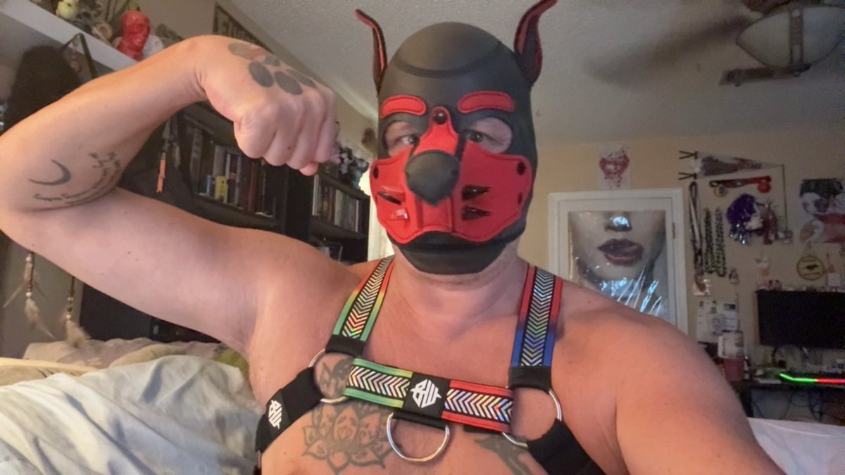 Pup_Draven's tweet photo. https://t.co/BcEtzyPiS3