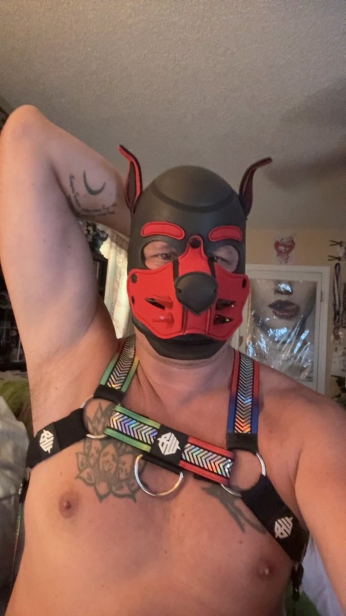 Pup_Draven's tweet photo. https://t.co/BcEtzyPiS3