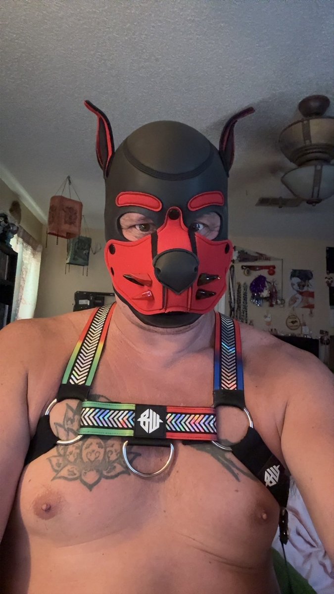 Pup_Draven's tweet photo. https://t.co/BcEtzyPiS3