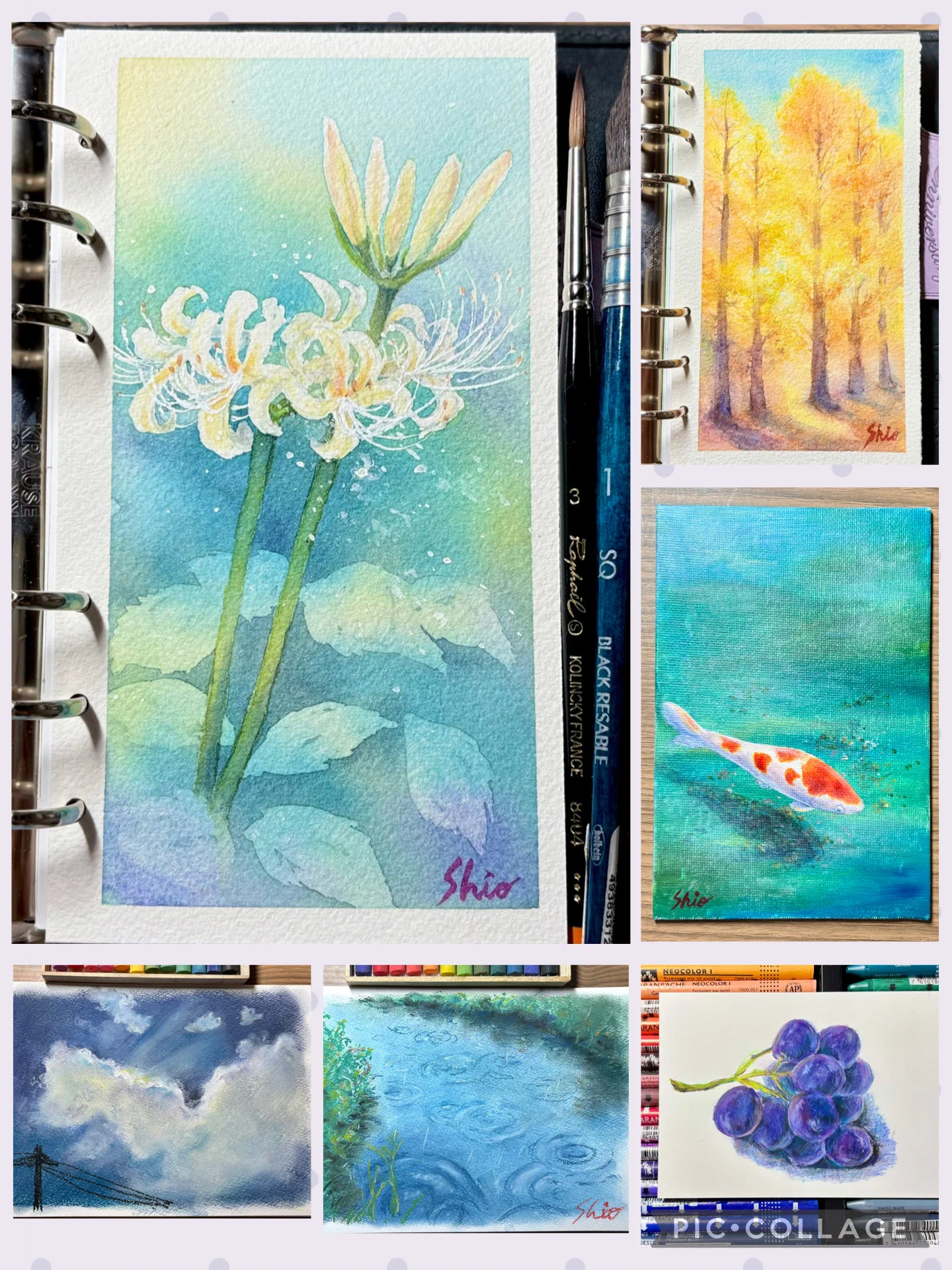 値下げ❗️ 陳芸氏の水彩画　作品　身近に自然を感じてみませんか？ しお@水彩画 (@shio_watercolor) / X