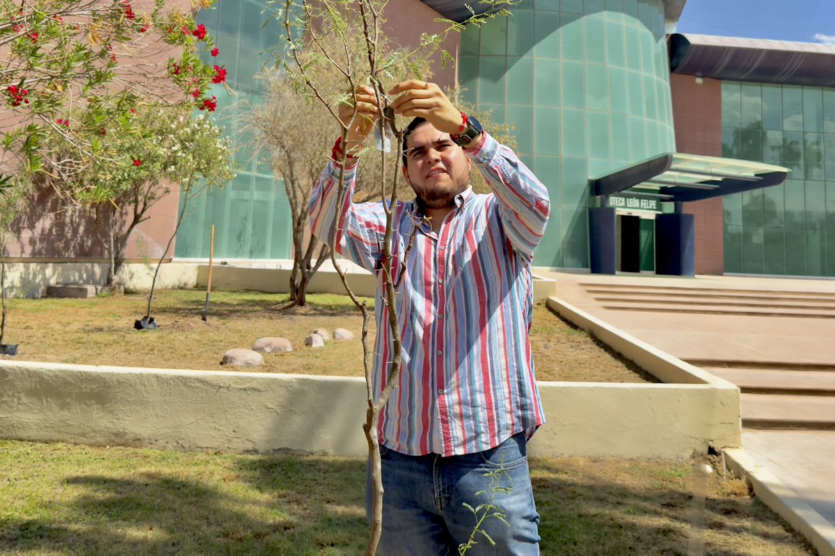 trcambiente's tweet photo. 🌱Participamos en el arranque anual de reforestación en Ciudad Universitaria de la Universidad Autónoma de Coahuila, una iniciativa que reúne a tres unidades de la institución para fortalecer sus áreas verdes, promover la biodiversidad y fomentar una mayor conciencia ambiental. https://t.co/z79CCenNoS