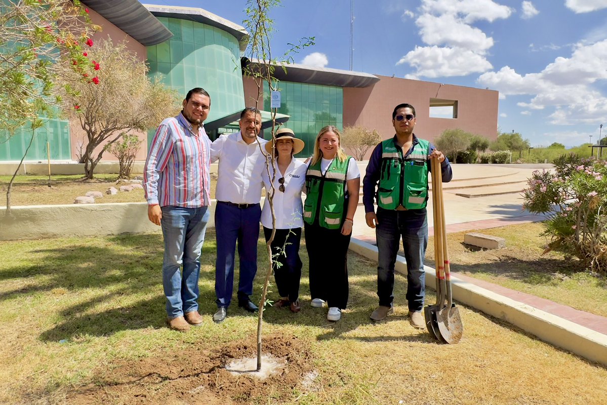 trcambiente's tweet photo. 🌱Participamos en el arranque anual de reforestación en Ciudad Universitaria de la Universidad Autónoma de Coahuila, una iniciativa que reúne a tres unidades de la institución para fortalecer sus áreas verdes, promover la biodiversidad y fomentar una mayor conciencia ambiental. https://t.co/z79CCenNoS