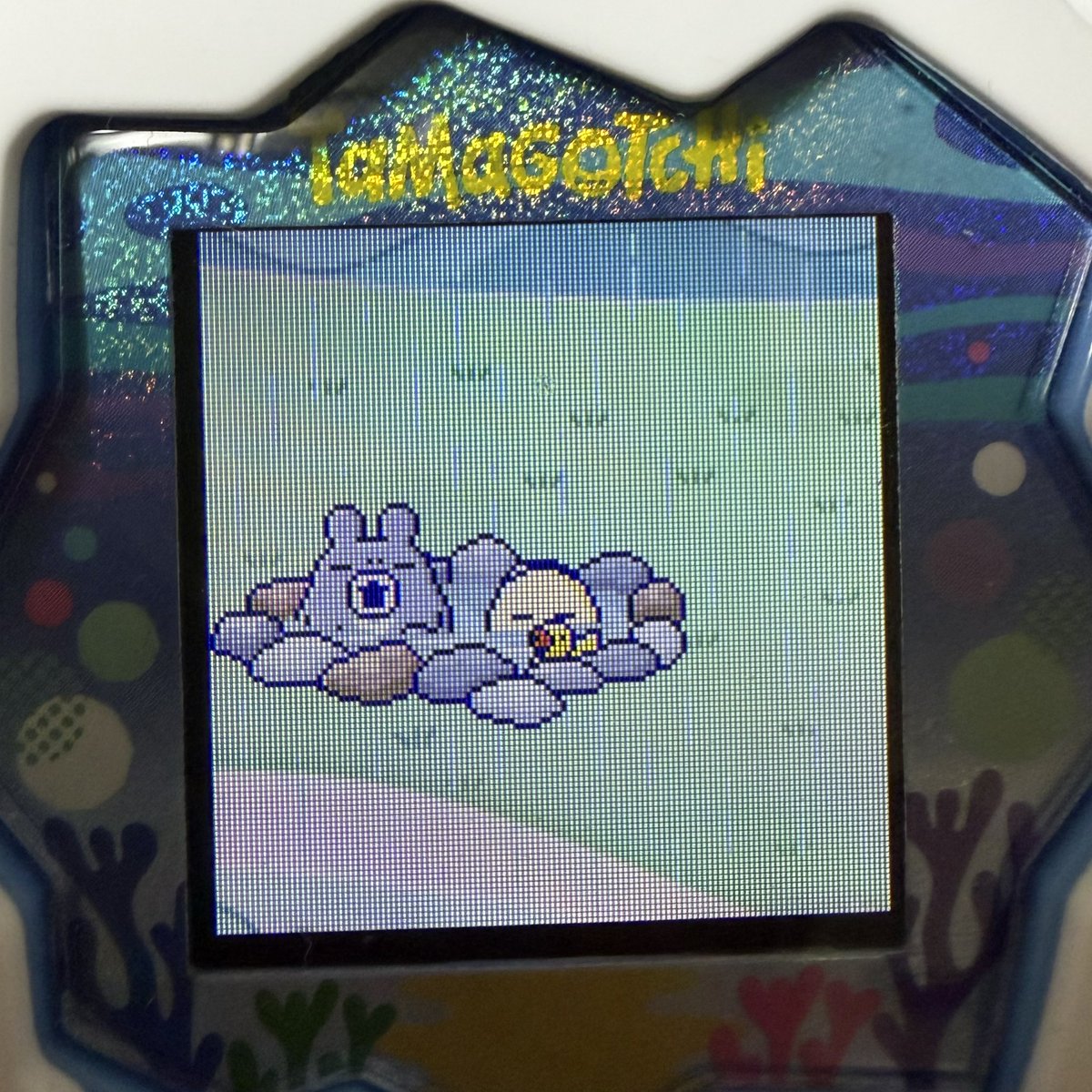 xorihulcon's tweet photo. たまごっちかわいい バレルサウナと温泉 #TamagotchiParadise https://t.co/Ngo0QGuOdg