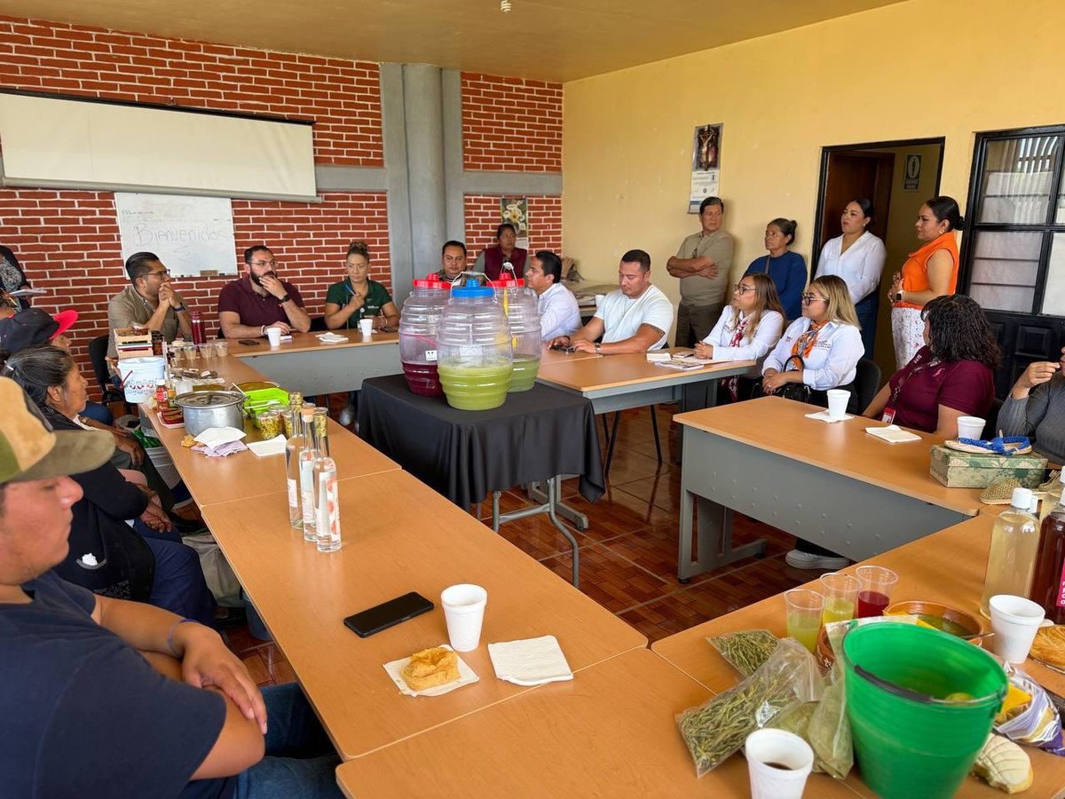 SicomNoticias_'s tweet photo. #Entérate 🌵🍈 Puebla fortalece al campo y a sus productores.

La @SDRGobPue y la #UPAM fortalecen vínculos con productores de nopal y tuna, con acciones orientadas a impulsar este sector y generar nuevas oportunidades para las comunidades productoras. 

👉 https://t.co/2hn1fZ8rxP

#SicomNoticias