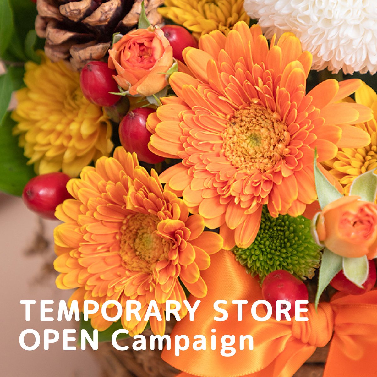 FlowerMiffy's tweet photo. 10/1 サンシャインシティアルパ店は
リニューアルの為
TEMPORARY SHOPにてOPENいたします⭐︎
場所：サンシャインシティアルパ1階
大通り　SAC’S BAR横 8番エリア

記念で10/1限定で先着100名様に
ガーベラを1輪プレゼントいたします。
1会計につき1輪お渡しです。
ぜひ、この機会にお越し下さいね♪ https://t.co/jOWaJfOpTb