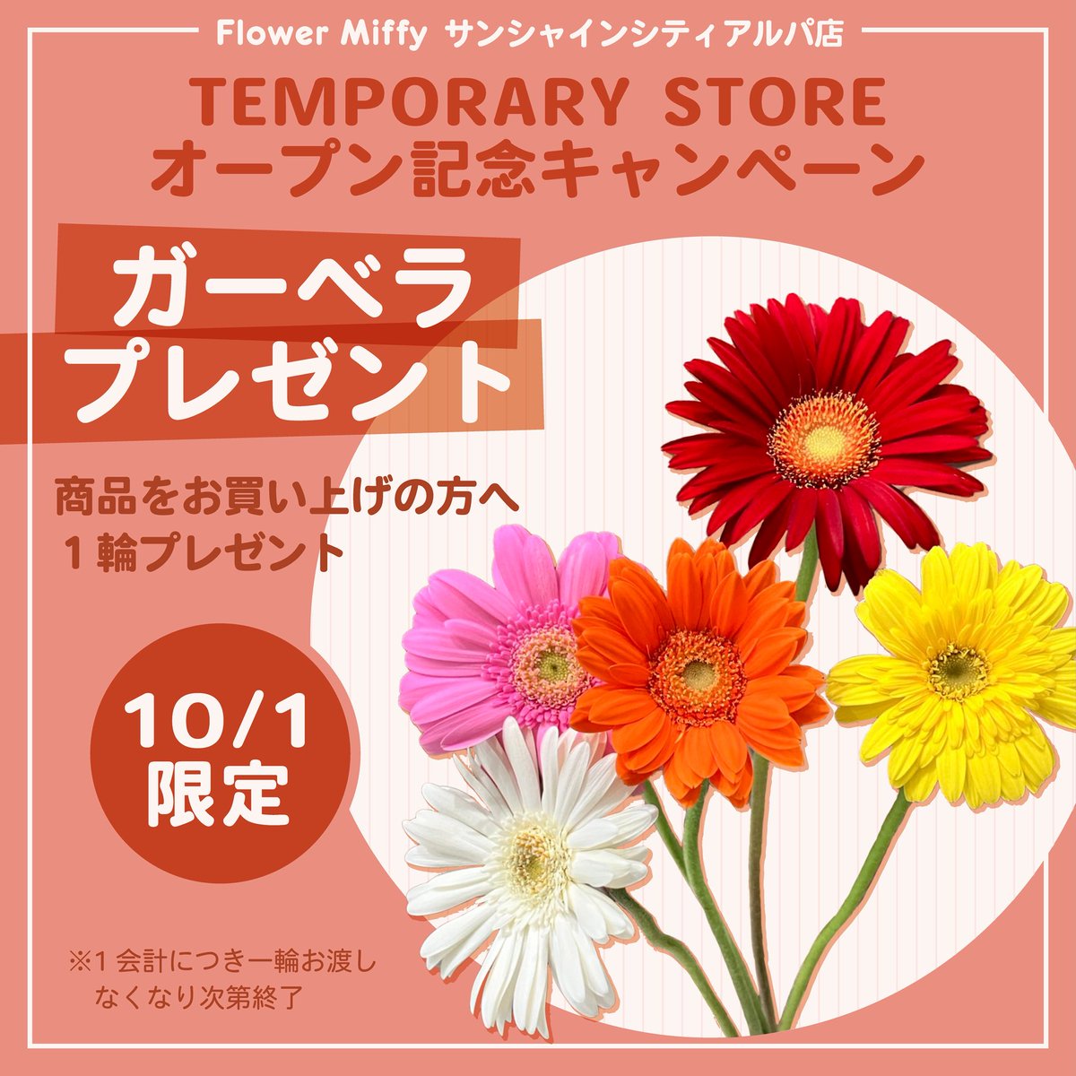 FlowerMiffy's tweet photo. 10/1 サンシャインシティアルパ店は
リニューアルの為
TEMPORARY SHOPにてOPENいたします⭐︎
場所：サンシャインシティアルパ1階
大通り　SAC’S BAR横 8番エリア

記念で10/1限定で先着100名様に
ガーベラを1輪プレゼントいたします。
1会計につき1輪お渡しです。
ぜひ、この機会にお越し下さいね♪ https://t.co/jOWaJfOpTb