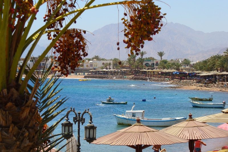 Sinai_my_heart's tweet photo. صباح الخير ..☕🍁
مدينة ذهب - جنوب سيناء - مصر https://t.co/Xm3tCsRAKb