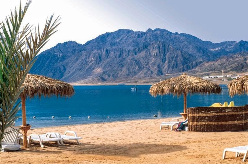 Sinai_my_heart's tweet photo. صباح الخير ..☕🍁
مدينة ذهب - جنوب سيناء - مصر https://t.co/Xm3tCsRAKb
