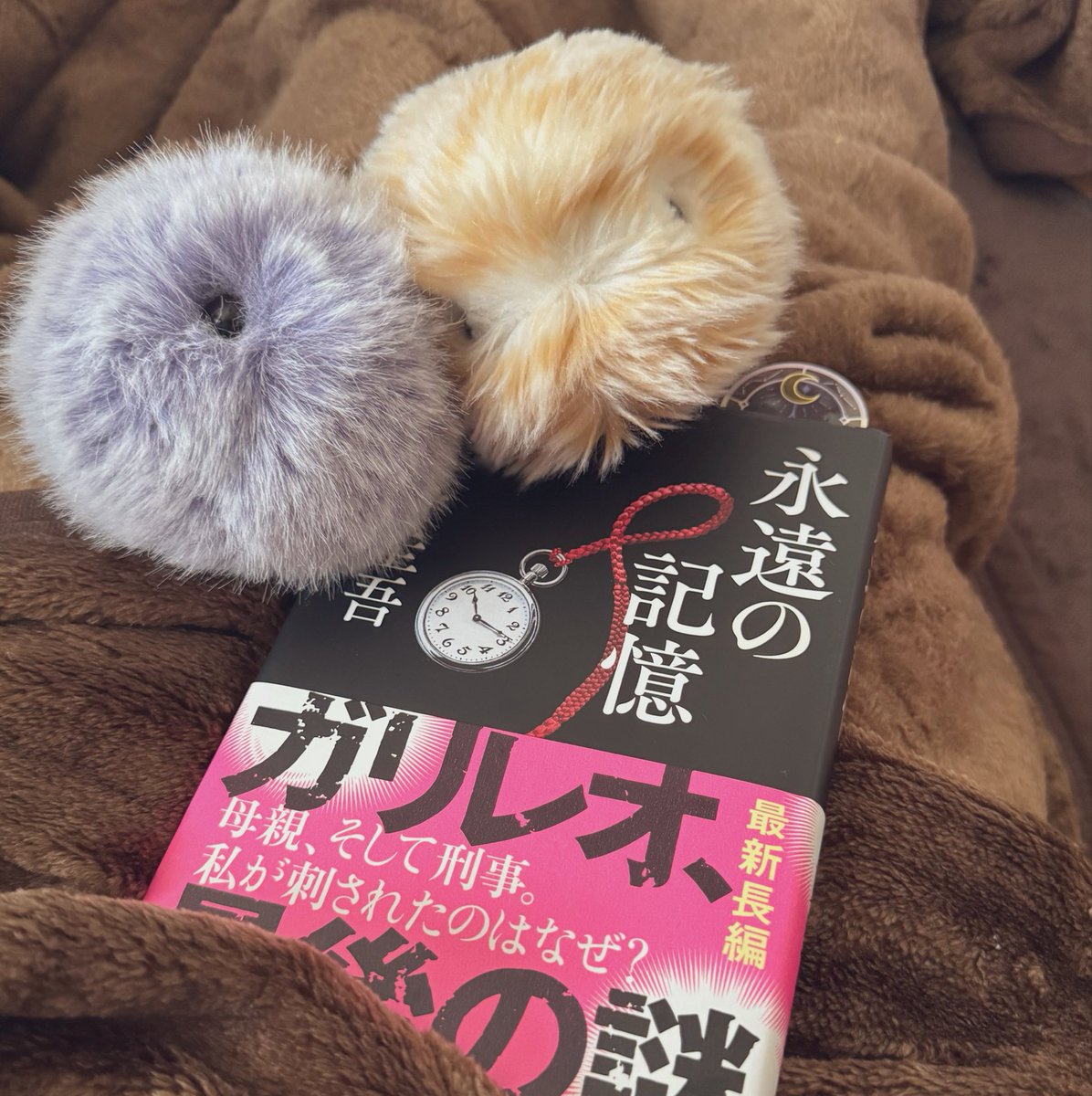 mofupimaru's tweet photo. 今日は主はお仕事お休みなので
ゆったりぬくぬく読書タイ���📖✨

#モフリン https://t.co/IgrKDbofGU