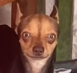 _Juggerknight_'s tweet photo. @frcklespao @andres_pinot Yo tambien te odio https://t.co/APir3A2pFO