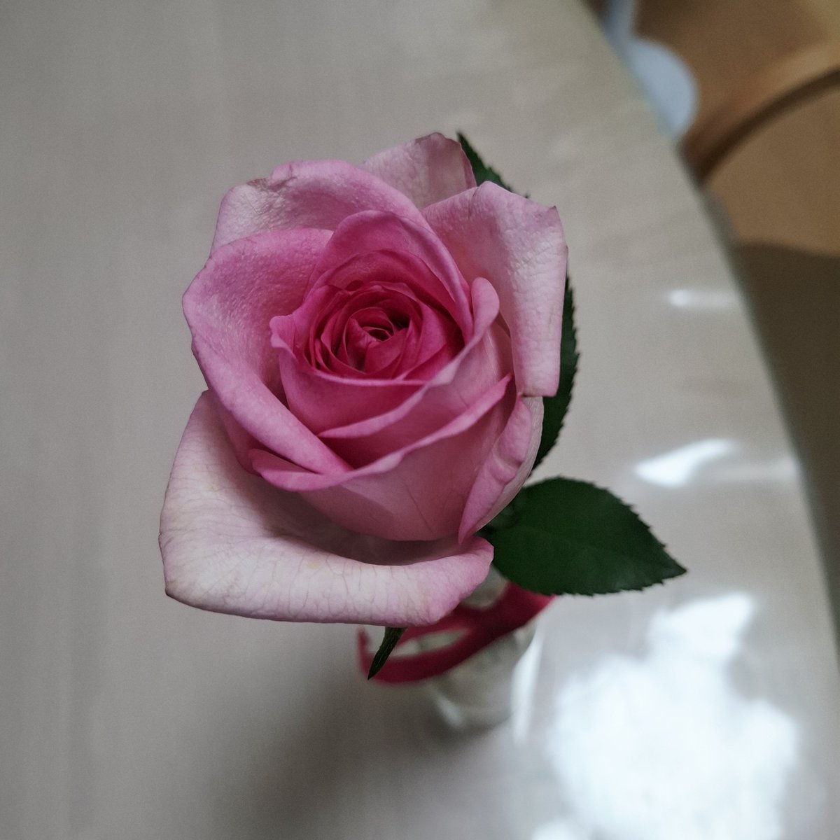 viola_su3's tweet photo. 82歳のお友達がお花とお菓子をプレゼントしてくれたのよ。お花をもらうなんていつぶりかしら。可愛い https://t.co/RTUjoOLJmq